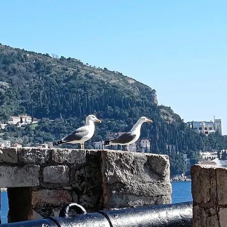 By Walls Perfect For 2 * Dubrovnik